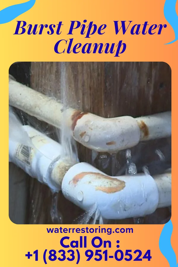 Burst Pipe Water Cleanup in Bristow, NE